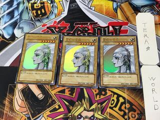 Gyakutenno Megami 4 Ultra Set of 3 Tera