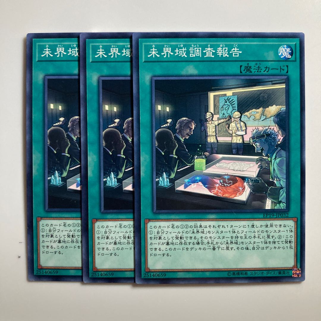 8591 未界域調査報告 ノーマル JP032