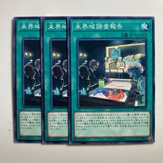 8591 未界域調査報告 ノーマル JP032