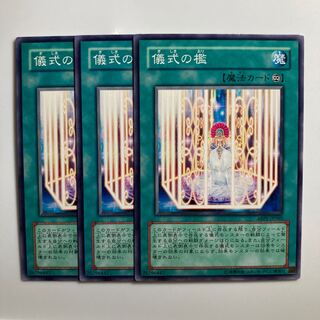 8593 儀式の檻 ノーマル JP060