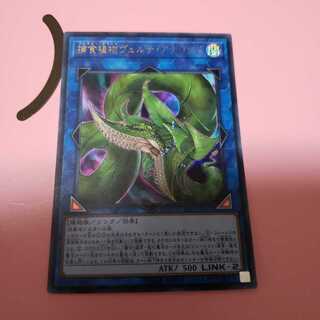 捕食植物ヴェルテ・アナコンダ　ウルトラレア