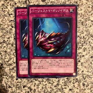 バージェストマ・オレノイデス ノーマル JP033