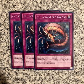 バージェストマ・ピカイア ノーマル JP036