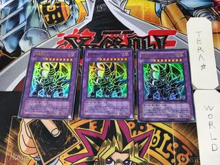 Psychic Mage Swordsman - Black Paladin 3 Ultra Set of 3 Tera