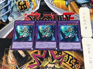 Dark Magician Girl the Dragon Knight 1 Ultra 3-card set Tera