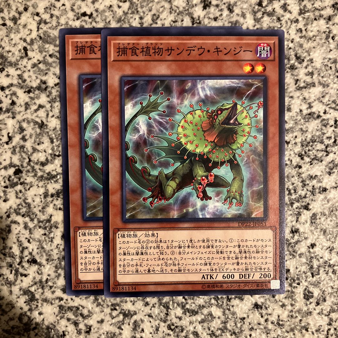 Predaplant Chlamydosundew Normal JP051