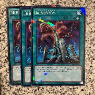 Predapruning parallel normal JP012