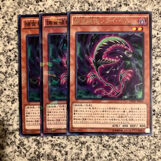 捕食植物フライ・ヘル ノーマル JP006