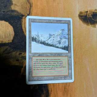 mtg デュアルランド」の激安通販 | magi