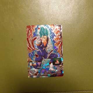 SH1-SEC2ベジット(再出品)