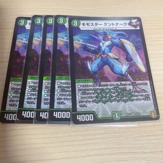 Momostar Kentonark VR 6/95