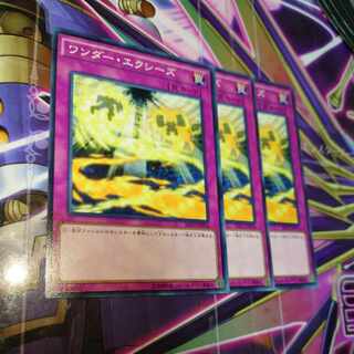 ワンダー・エクシーズ ノーマル JP076