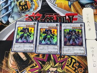 Goyo Guardian 4 Ultra Set of 3 Tera