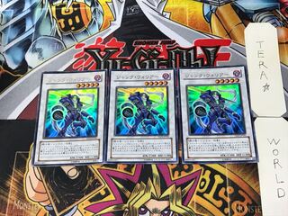 Junk Warrior 5 Ultra, set of 3 Tera.