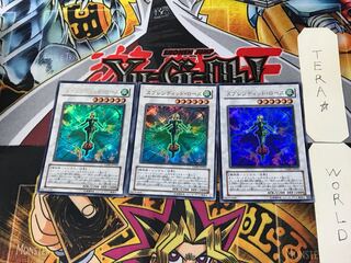 Splendid Rose 2 Ultra Set of 3 Tera