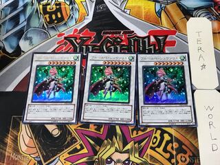 Chevalier de Fleur 2 Ultra, set of 3 Tera