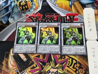 Enlightenment Paladin 2 Ultra Set of 3 Tera