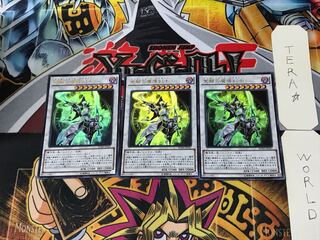 Enlightenment Paladin 3 Ultra Set of 3 Tera