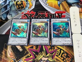 Coral Dragon 1 Ultra, set of 3 Tera.