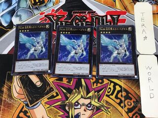 Number 44: Sky Pegasus 1 Ultra, set of 3, Tera
