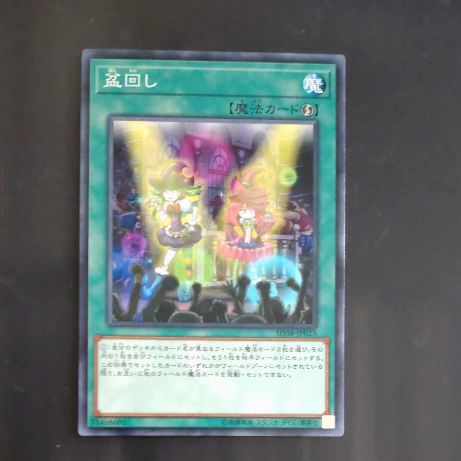 Set Rotation Normal JP030