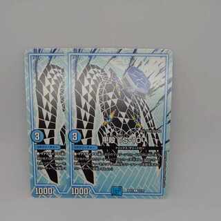 Carapace TS-10 C 12/25