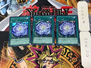 Rose Bud 2 Secret 3-piece set Tera