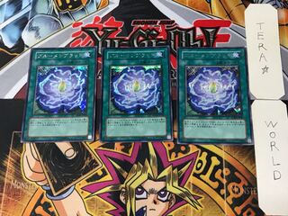 Rose Bud 3 Secret 3-Piece Set Tera