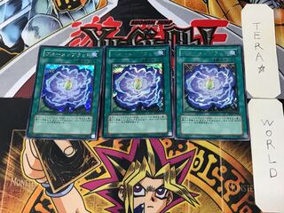 Rose Bud 5 Secret 3-piece set Tera