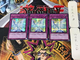 反射光子流 5 シークレット 3枚セット てら