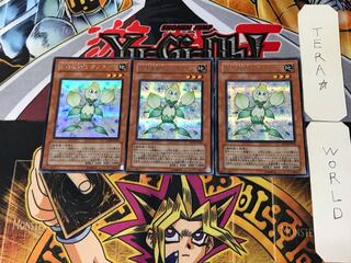E・HERO Knospe 2 Secret 3-card set Tera
