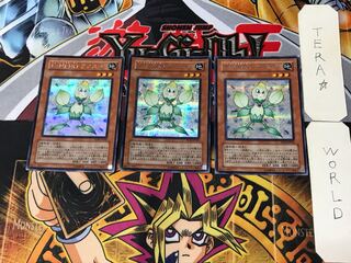 E・HERO Knospe 3 Secret 3-card set Tera