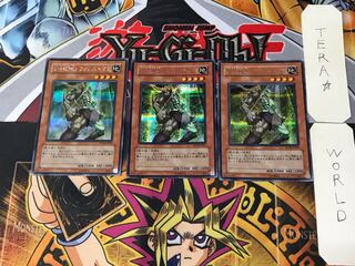 E・HERO フォレストマン 5 シークレット 3枚セット てら