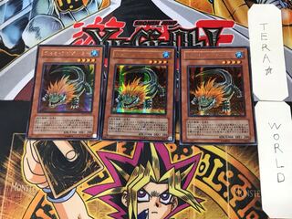 Lion Alligator 1 Secret 3-card set Tera