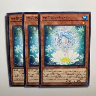 8620 Rikka Petal $3364