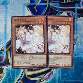 Ash Blossom & Joyous Spring Normal JP014 Set of 2