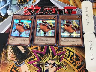 Big Belly Knight 4 Secret 3-card set Tera