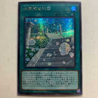 遊戯王　白薔薇の回廊　シークレット　1枚