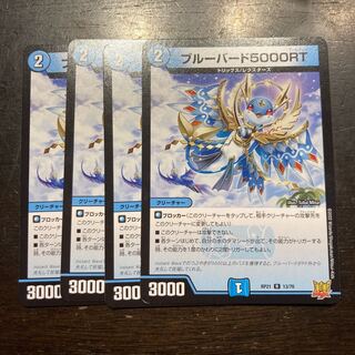 Snubbull Bird 5000 RT R 13/76