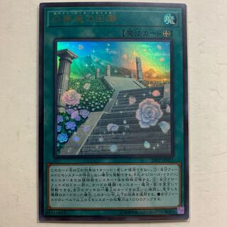 遊戯王　白薔薇の回廊　ウルトラレア  1枚