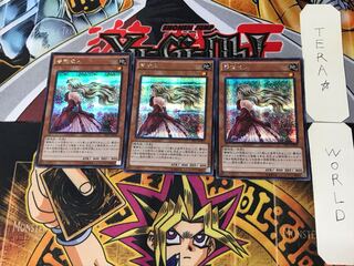 薔薇恋人 1 シークレット 3枚セット てら