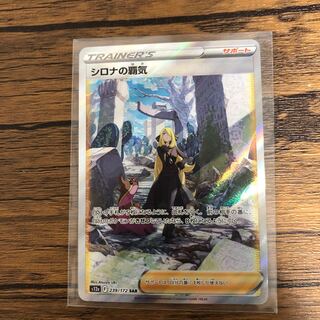 Cynthia's Highness SAR 239/172 Beautiful!