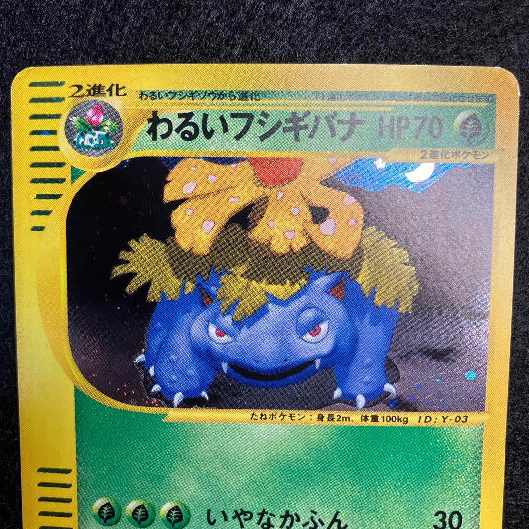 わるいフシギバナ Web