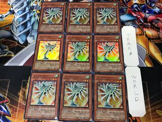 Fetelizer 1 Super Set of 9 Tera