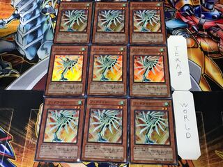 Fetelizer 2 Super, set of 9 Tera