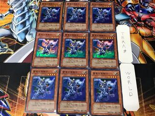 Paladin of the Cursed Dragon 1 Super Set of 9 Tera