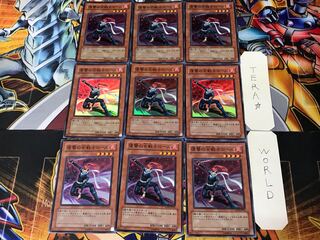 Rose, Warrior of Revenge 2 Super 9-card set, Tera