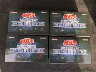 Secret Utility Box Set of 4 boxes
