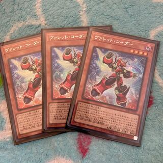 Valet Coder, set of 3, Secret