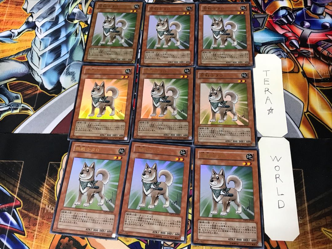 Shiba-Warrior Taro 1 Ultra 9-card set Tera